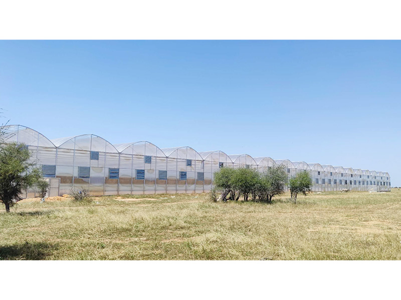 Polycarbonate  Greenhouse in Africa