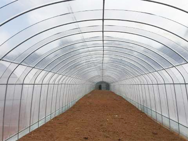 Tunnel Greenhouse